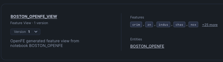 Feature View