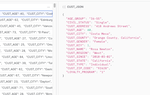 JSON Record