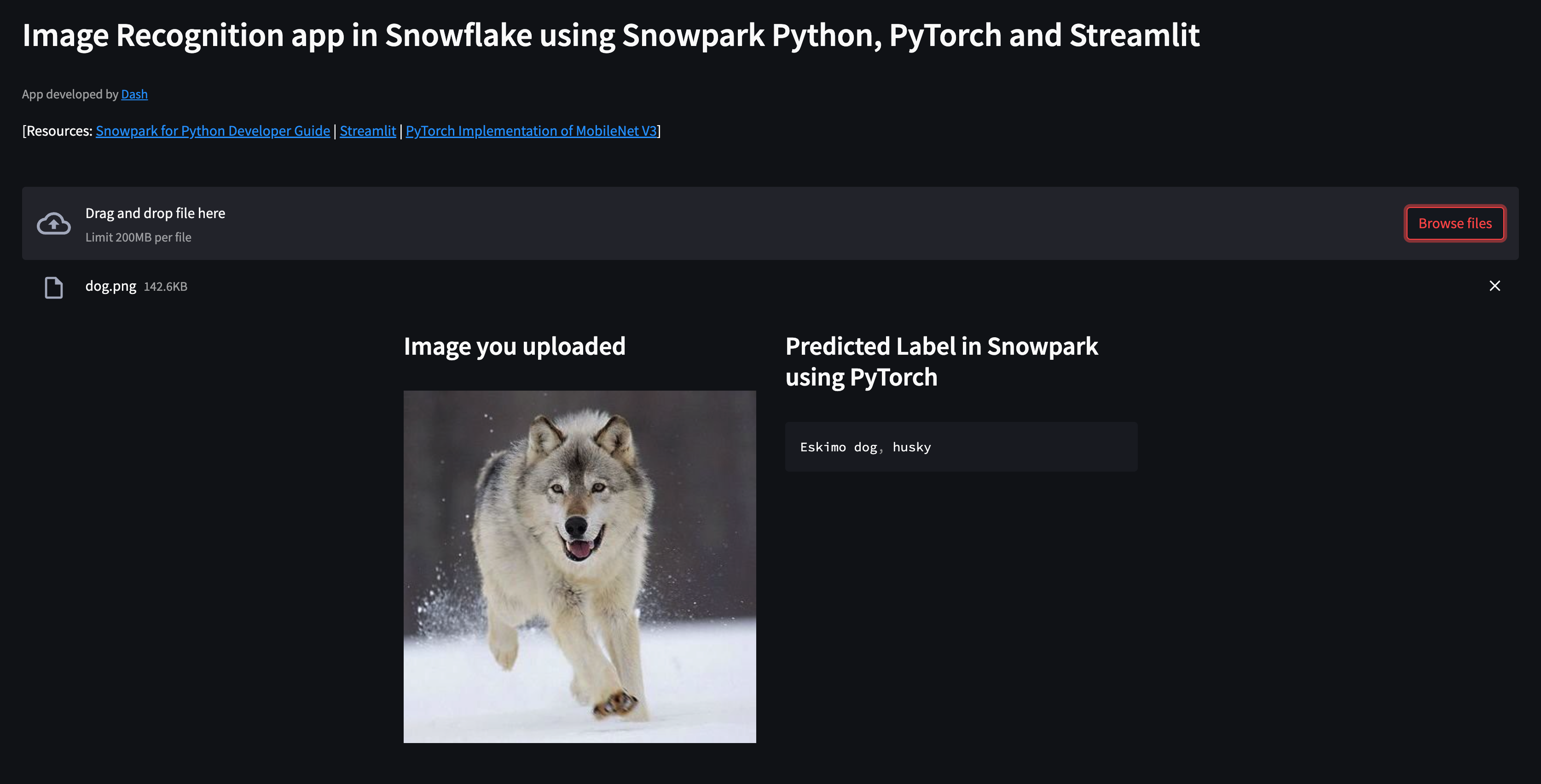 Snowpark_PyTorch_Streamlit_Upload_Image_Rec