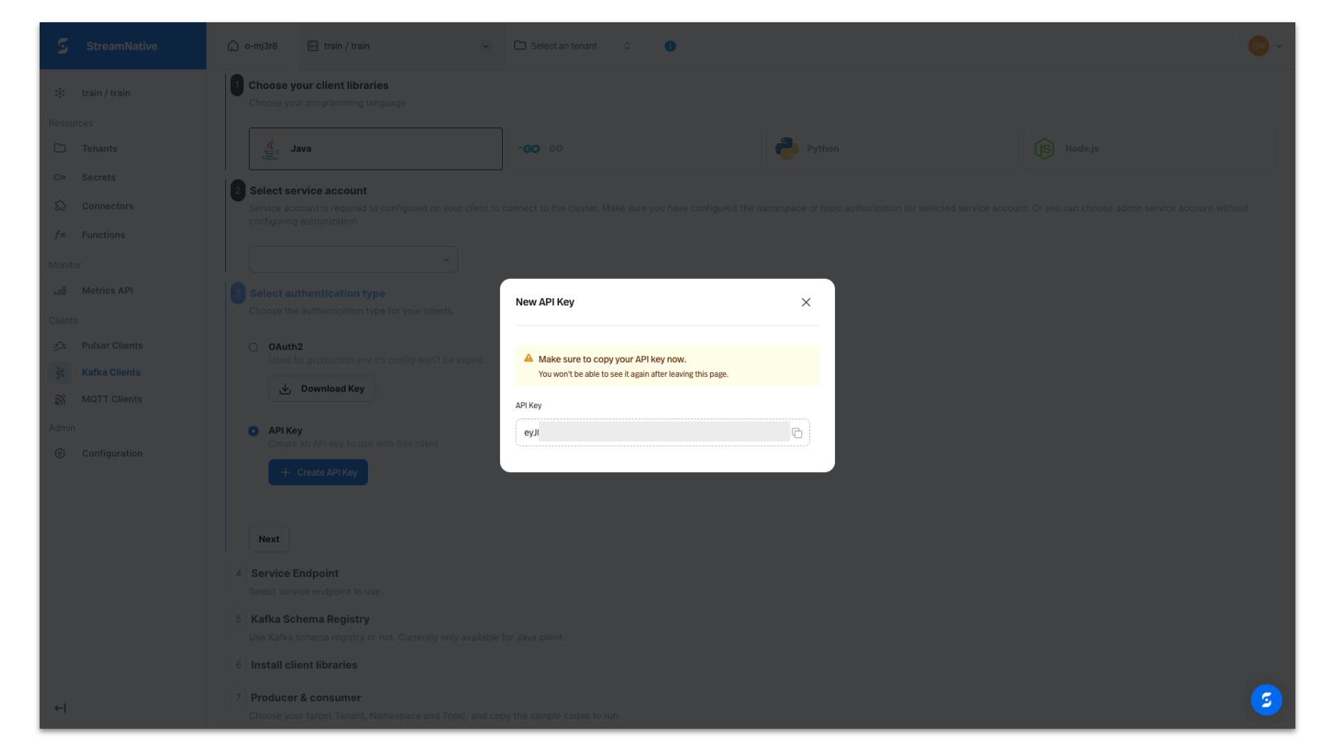 Copy API Key