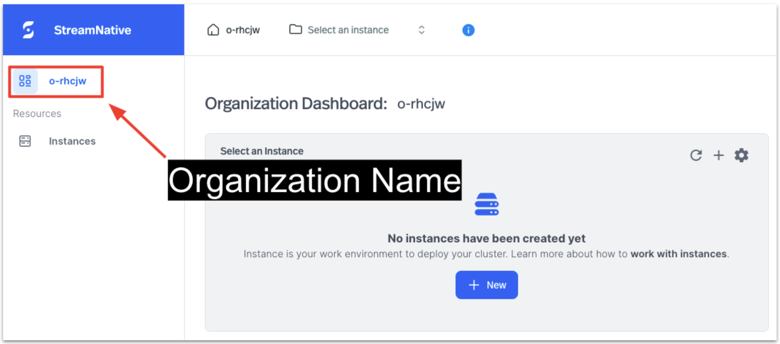 StreamNative Organization