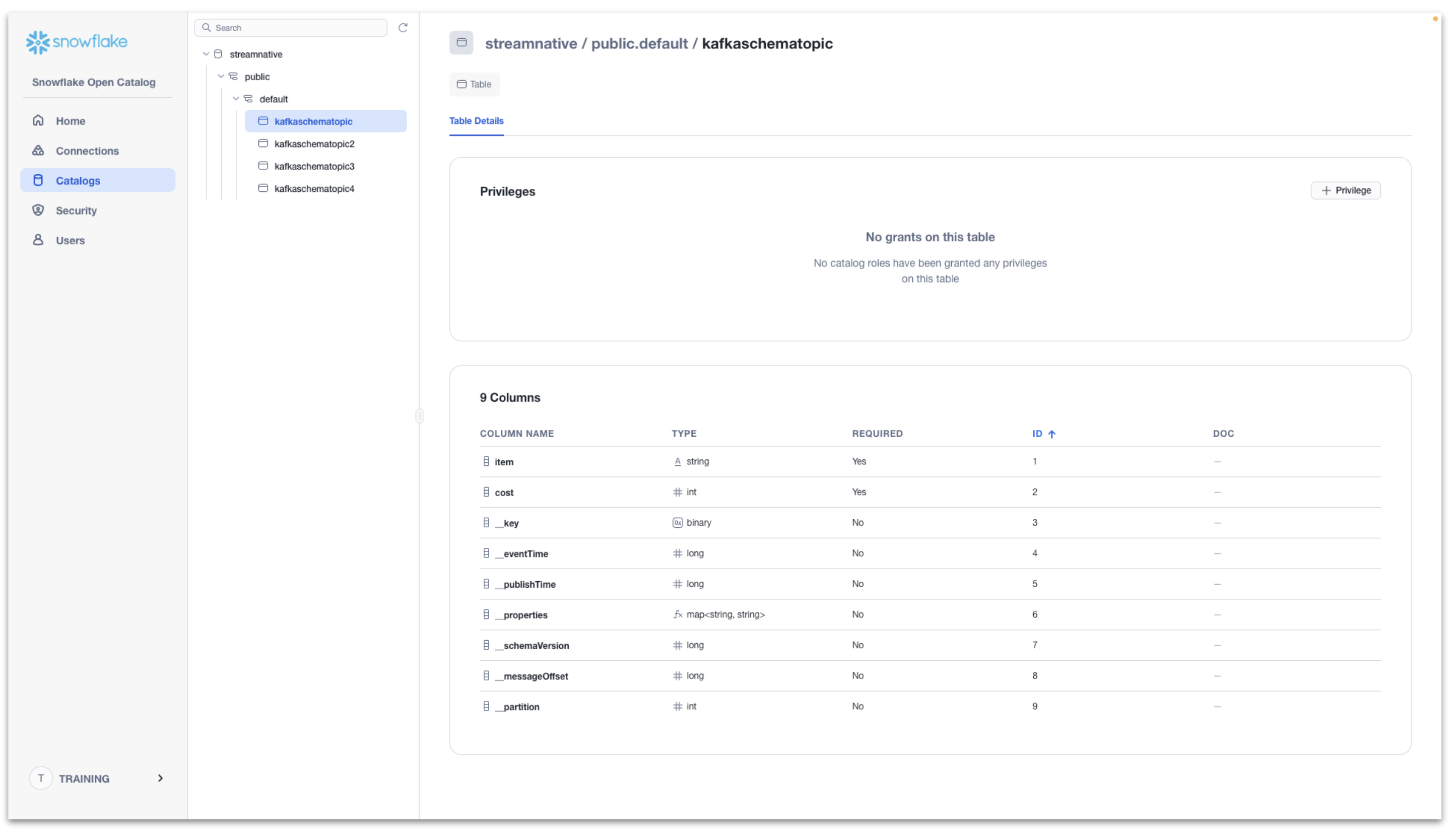 Verify Tables and Schema
