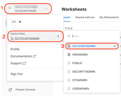 Set your Role to AccountAdmin